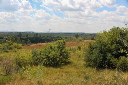 0 Bedroom Property for Sale in Parys Free State